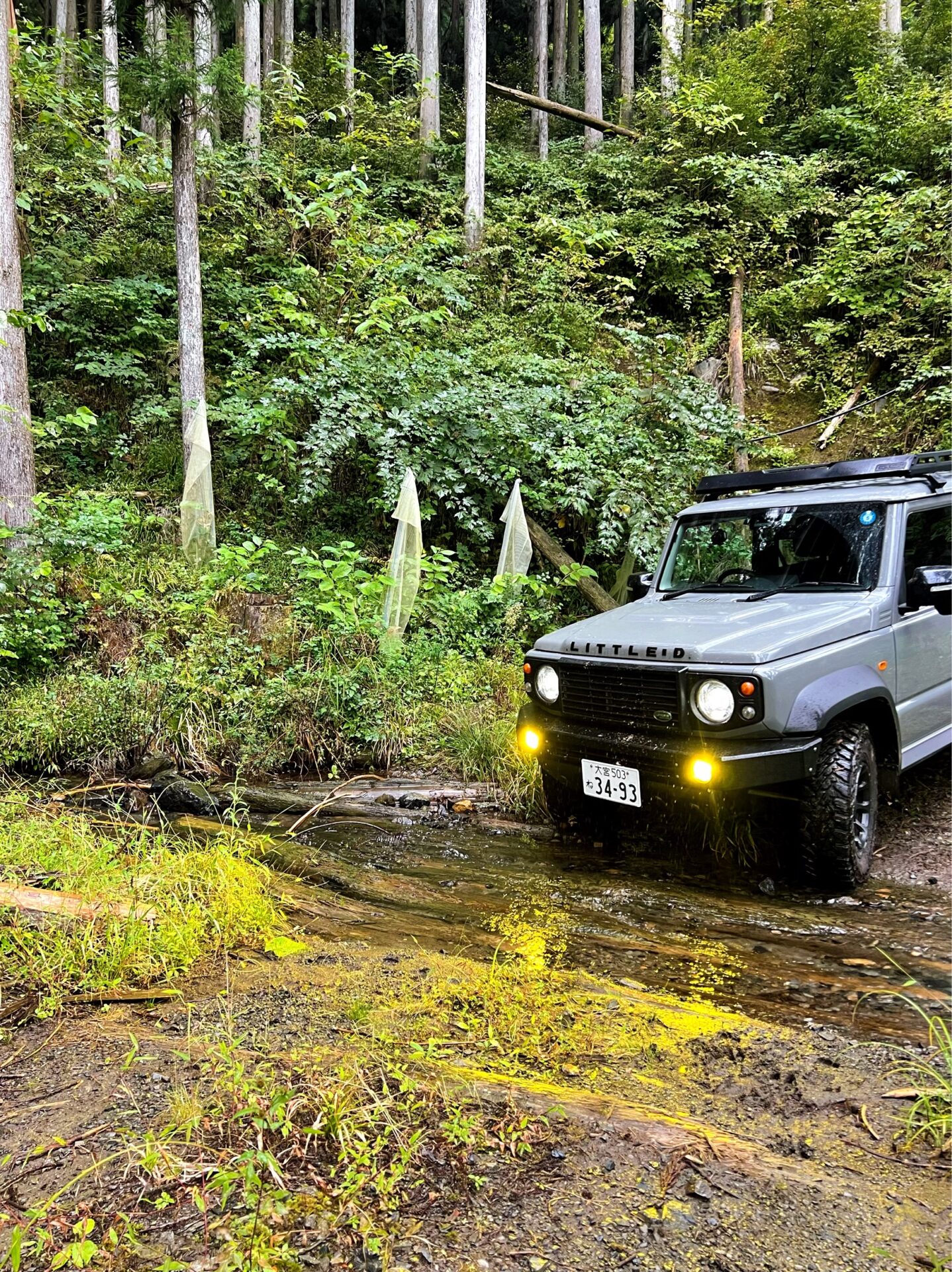 ダムドジムニーシエラリトルDで林道走行！ | 埼玉県の新車コンプリート